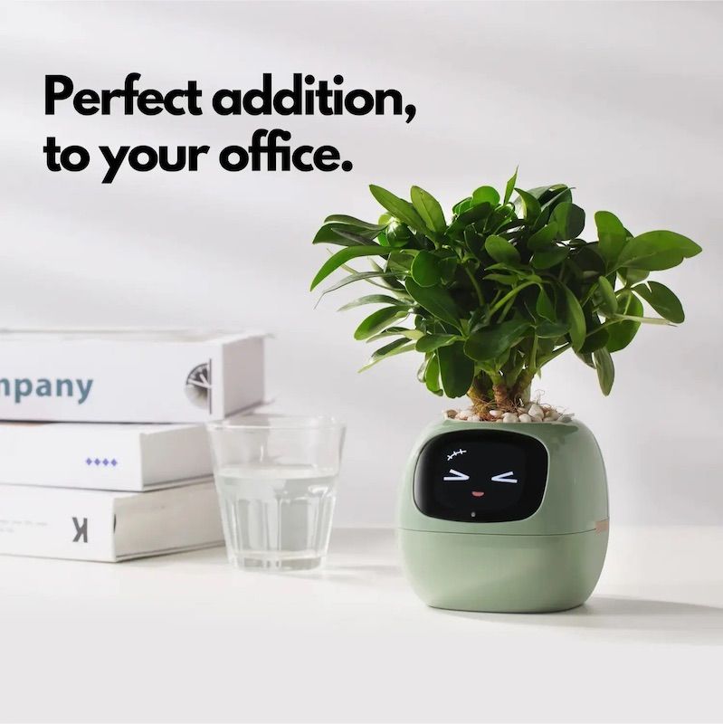 Інтерактивний розумний горщик для рослин Ivy Smart Planter Tuya AI, Pink