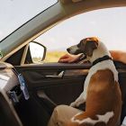 Bluetooth-ресивер UGREEN CM596 Car Bluetooth Audio Receiver