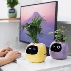 Інтерактивний розумний горщик для рослин Ivy Smart Planter Tuya AI, White