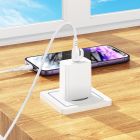 Мережевий зарядний пристрій з кабелем BOROFONE BA21A Pro Long journey single port PD20W charger set(C to iP) White