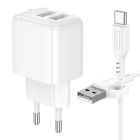 Мережевий зарядний пристрій BOROFONE BAS41A Potential dual-port charger set(Type-C) White