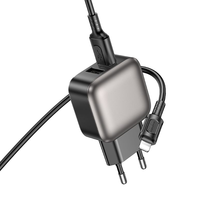 Мережевий зарядний пристрій BOROFONE BAS51A Absolute dual-port charger set(iP) Black