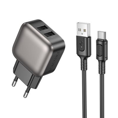 Мережевий зарядний пристрій BOROFONE BAS51A Absolute dual-port charger set(Type-C) Black