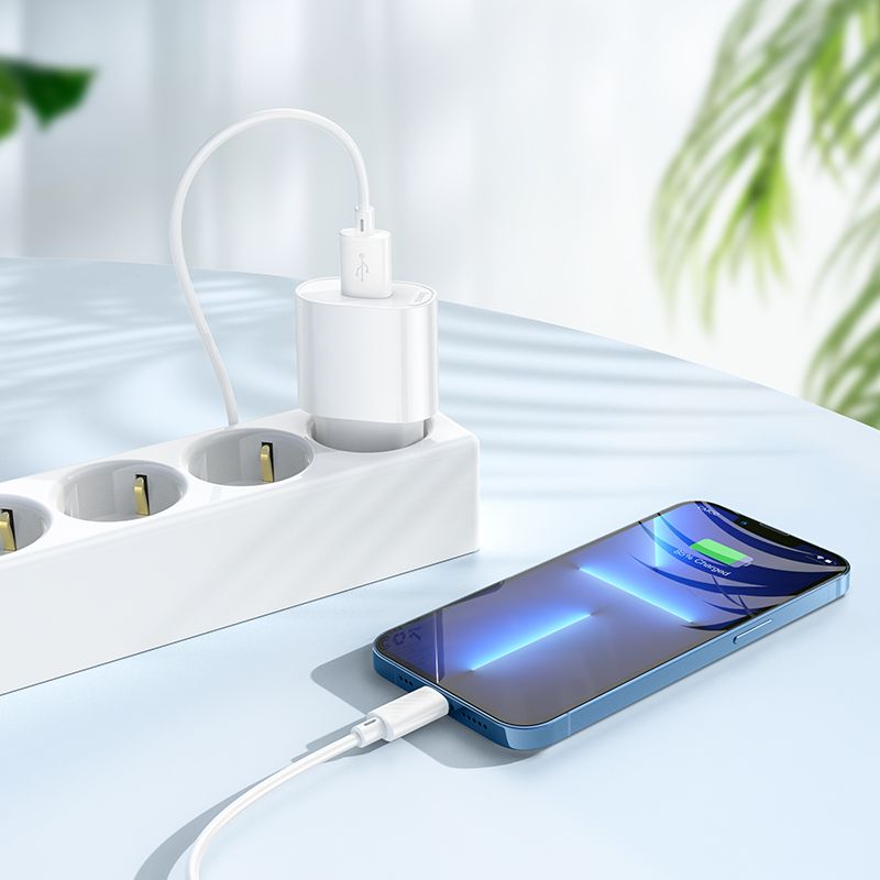 Мережевий зарядний пристрій з кабелем HOCO C109A(10.5W) Fighter single port charger set(iP) White