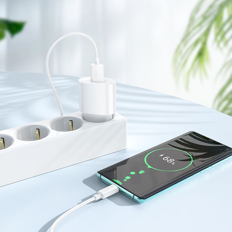 Мережевий зарядний пристрій з кабелем HOCO C109A(10.5W) Fighter single port charger set(Type-C) White