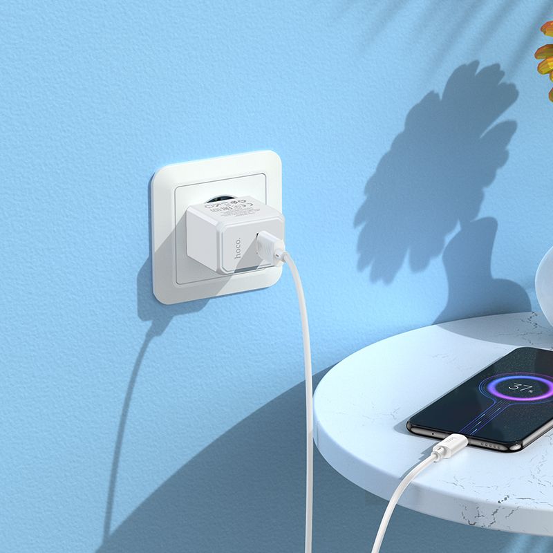 Мережевий зарядний пристрій з кабелем HOCO CS11A Ocean single port charger set(Micro) White