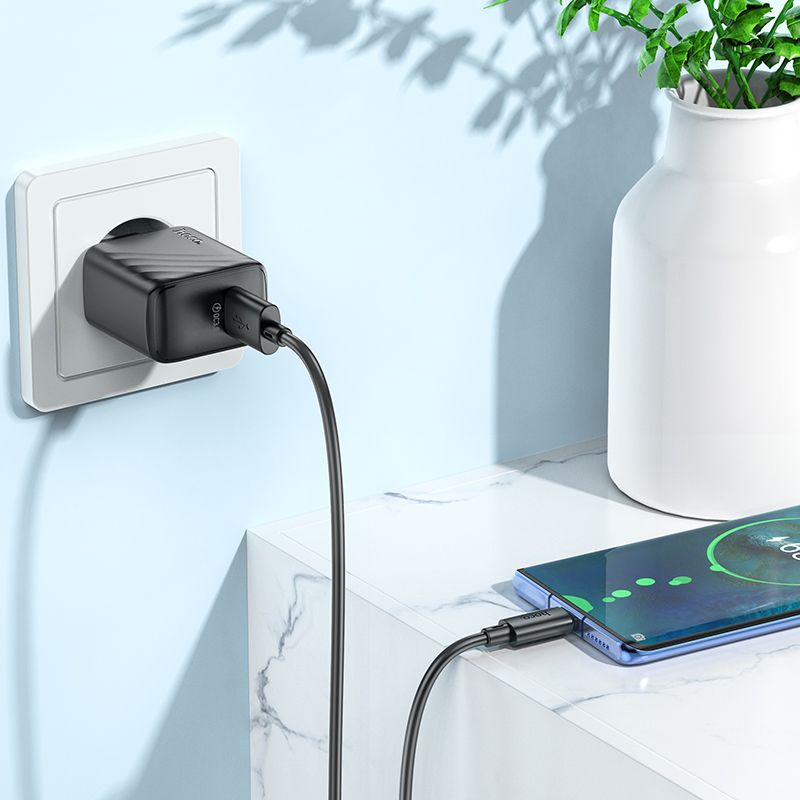 Мережевий зарядний пристрій HOCO CS21A Rich single port QC3.0 charger Black