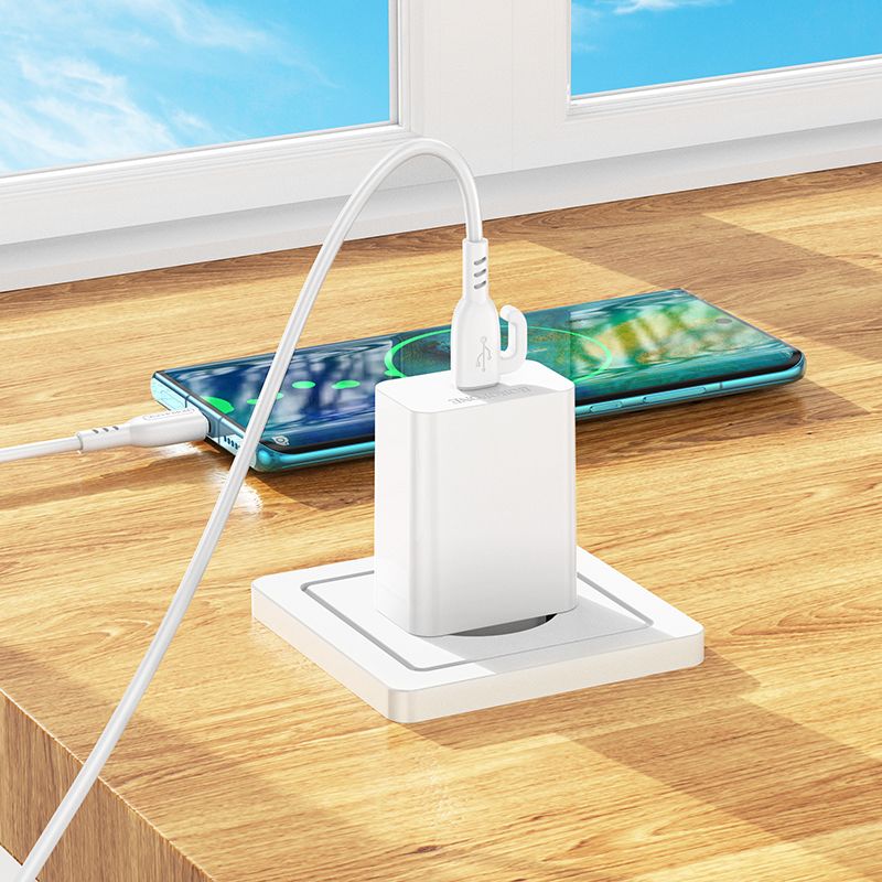 Мережевий зарядний пристрій з кабелем BOROFONE BA21A Pro Long journey single port PD20W charger set(C to C) White