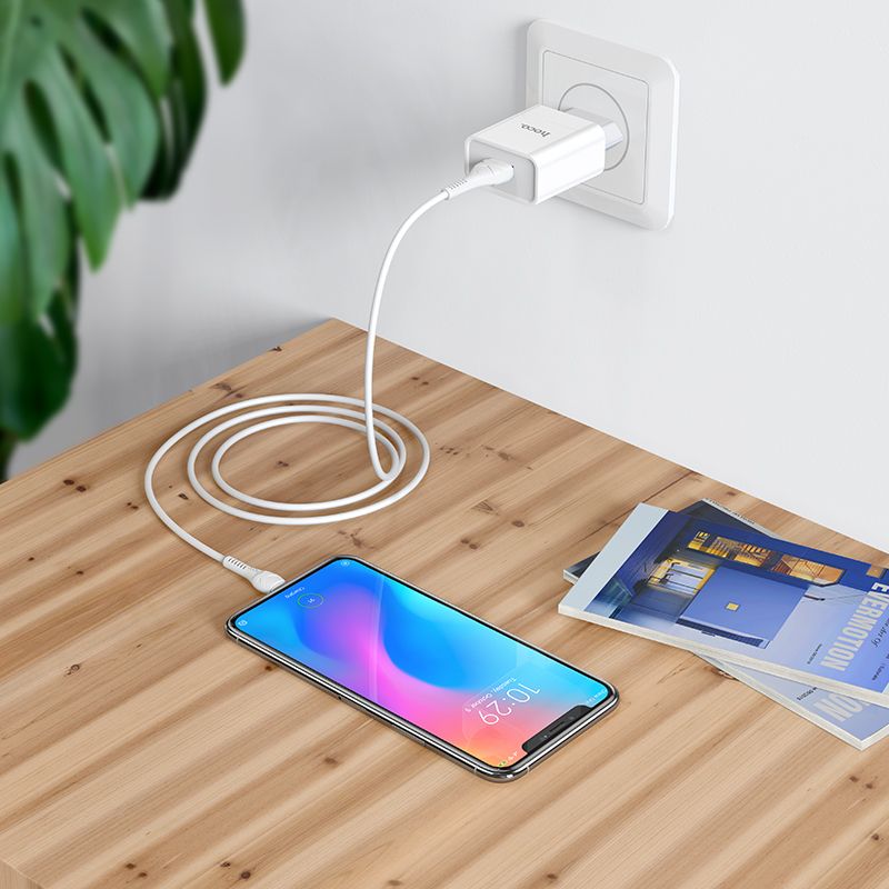 Мережевий зарядний пристрій HOCO C81A Asombroso single port charger set(Type-C) White