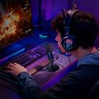 Мікрофон настільний HOCO L25 Bright (USB-A) Black