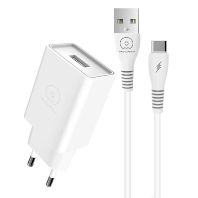 Мережевий зарядний пристрій з кабелем WUW-T82 Single USB home charger set type-c