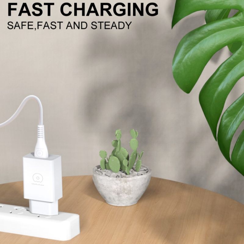 Мережевий зарядний пристрій WUW-C186 Single USB charger