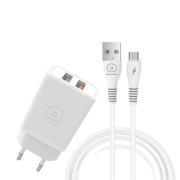Мережевий зарядний пристрій з кабелем WUW-T55 2USB/3.1A set micro