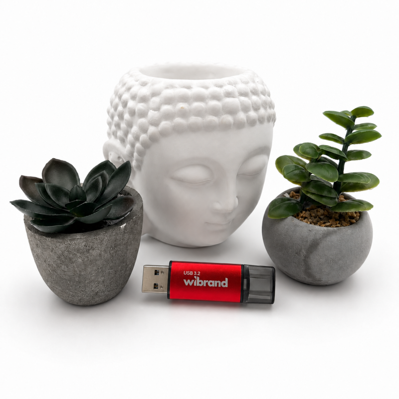 Флеш-накопичувач Wibrand USB 3.2 Gen1 Ladybug 32GB Red