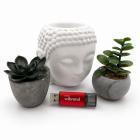 Флеш-накопичувач Wibrand USB 3.2 Gen1 Ladybug 128GB Red