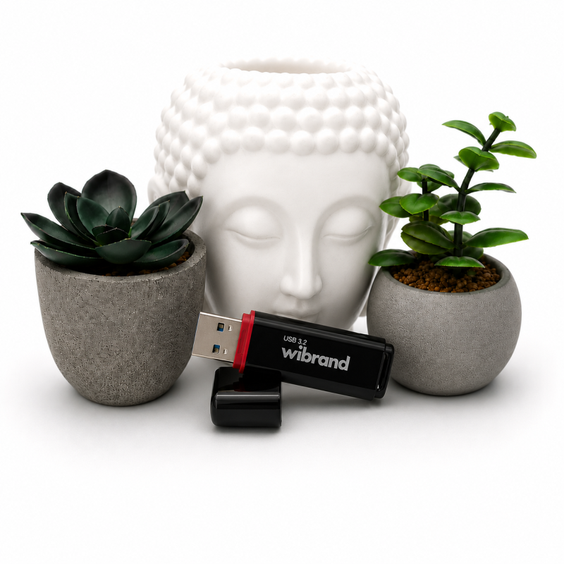 Флеш-накопичувач Wibrand USB 3.2 Gen1 Scarab 16GB Black