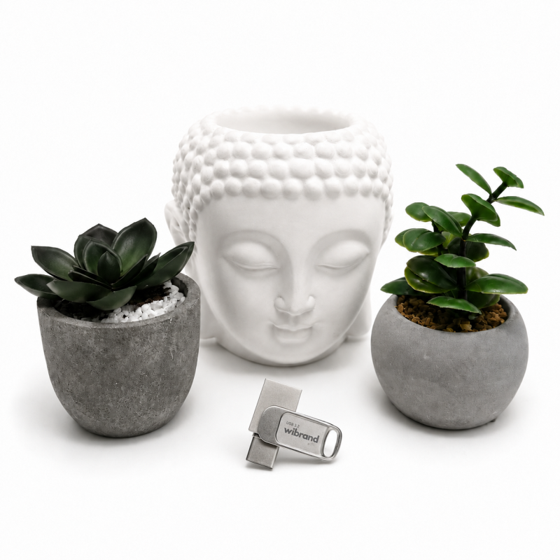 Флеш-накопичувач Wibrand USB 3.2 Gen1 Bee 64GB USB Type-A/USB Type-C Silver