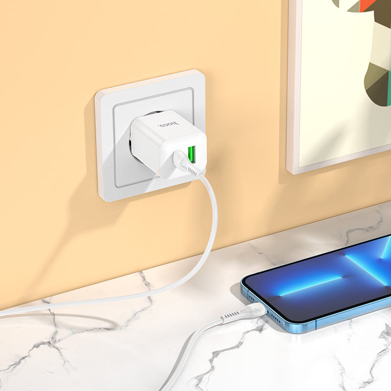 Мережевий зарядний пристрій з кабелем HOCO N28 Founder PD20W+QC3.0 charger set(C to iP) White