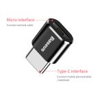 Адаптер Baseus Micro Female To Type-C Male Adapter Converter Black