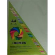 Папір Romus A4 160 г/м2 100sh Light green (R50645)