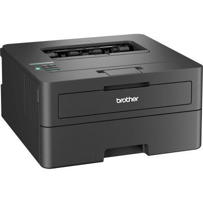 Лазерний принтер Brother HLL2460DNYJ1